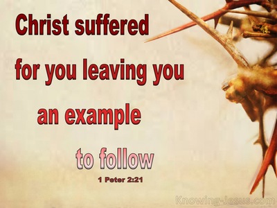 1 Peter 2:21